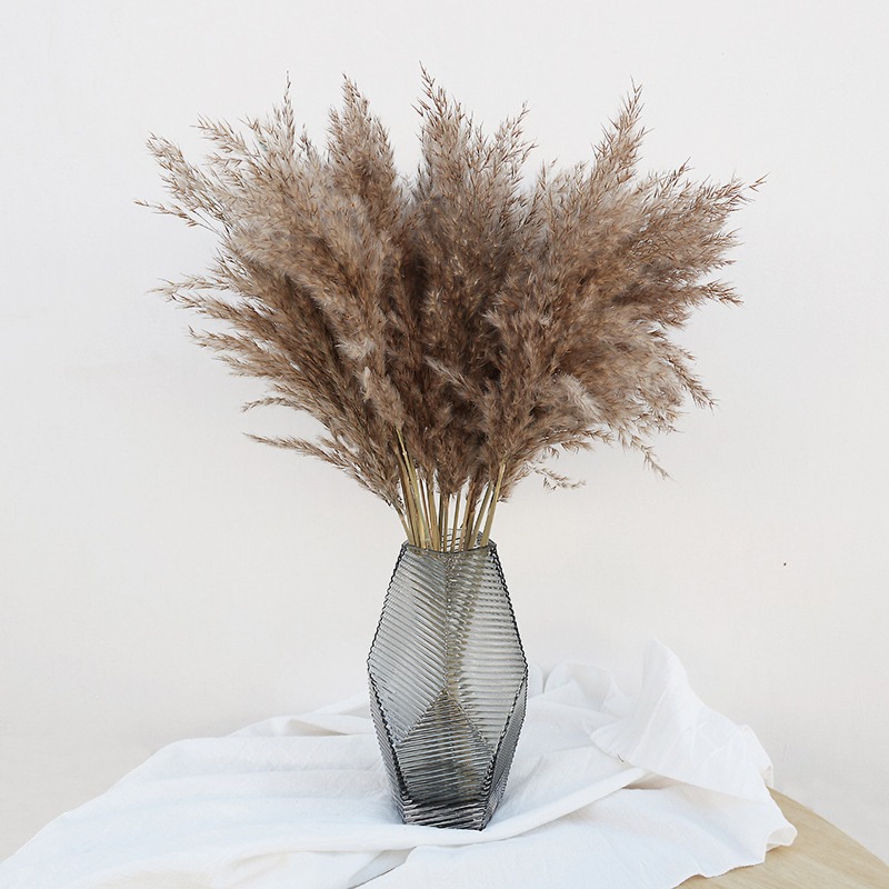 Florist Supply Vases - 10 Piezas de Cañas Naturales Coloridas,