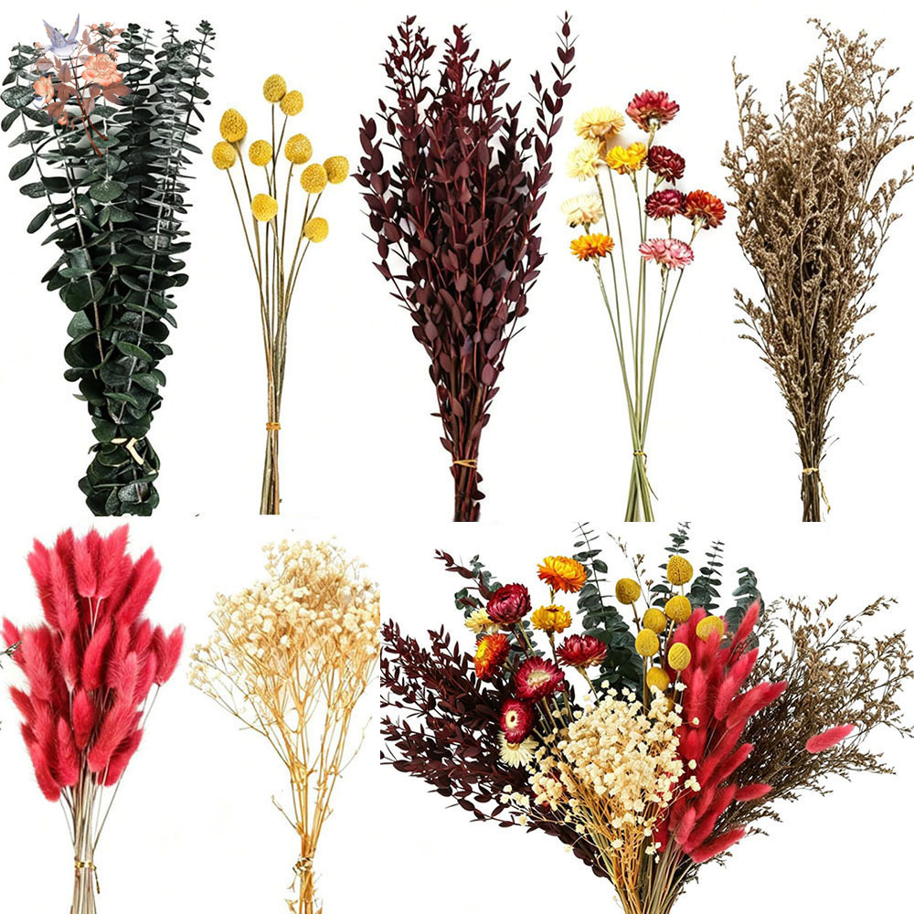 Set de Flores Secas al por May - Anda Florist Supply reseña y precio