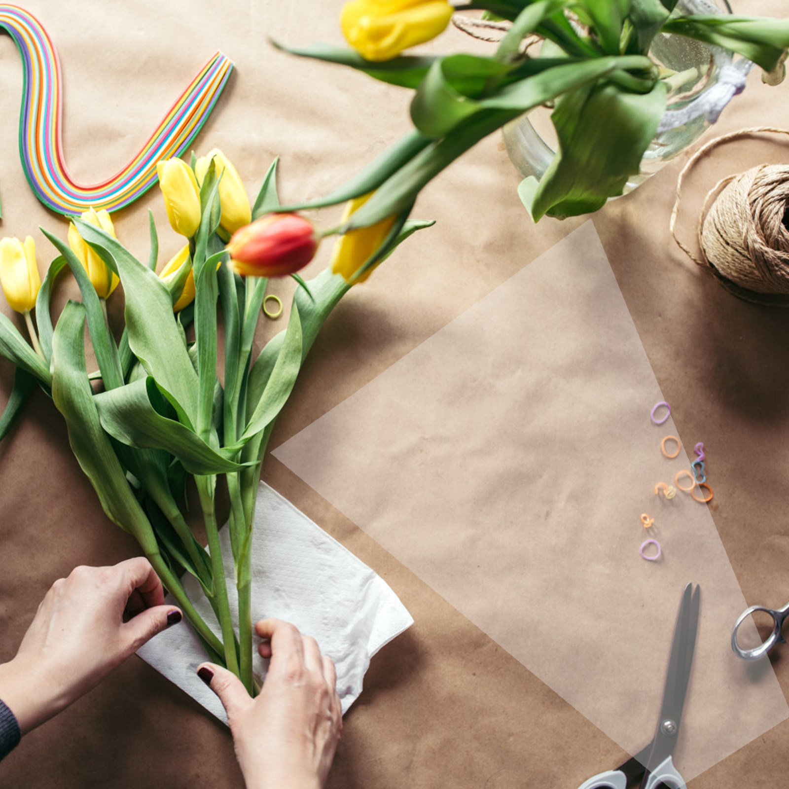 20 unidades de rollo de celofá - Quality Florist Supply reseña y precio